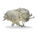 Burajet® SCA 8032/SCA