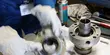 Engineer assembling mechanical seal components in a workshop, showcasing industrial maintenance and precision engineering.