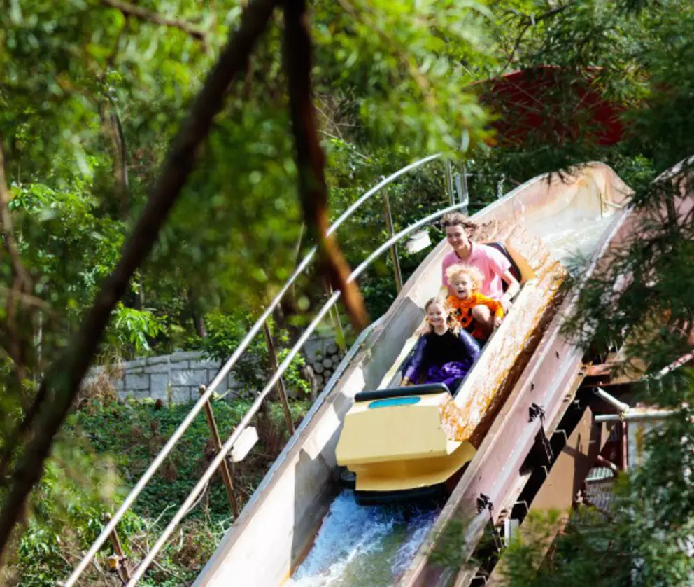 Family enjoying a thrilling log flume ride through a lush forest at an amusement park.