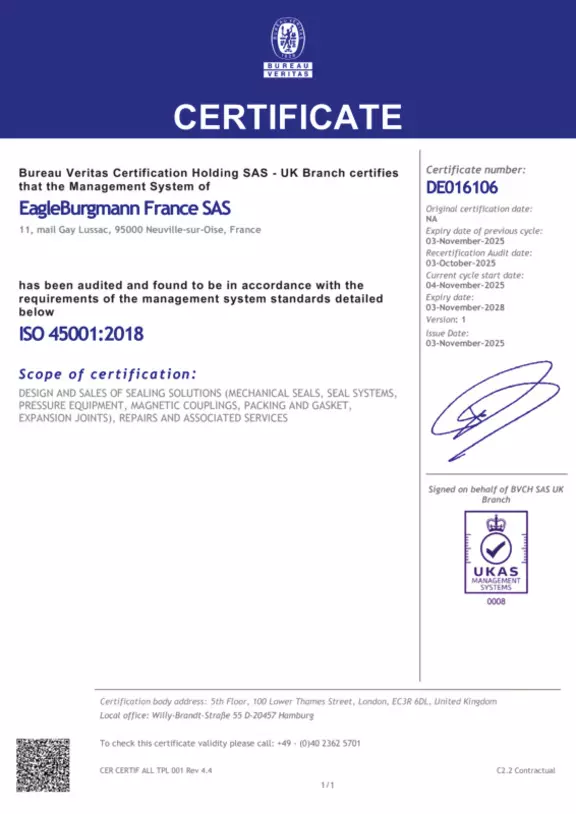 DIN EN ISO 45001:2018  (certification HSE management system)