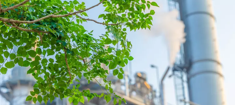Sustainable production thanks to digital sealing solutions