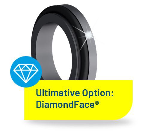 Ultimative Option: DiamondFace® Gleitflächentechnologie