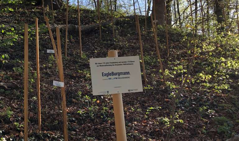 EagleBurgmann pflanzt 170 Bäume