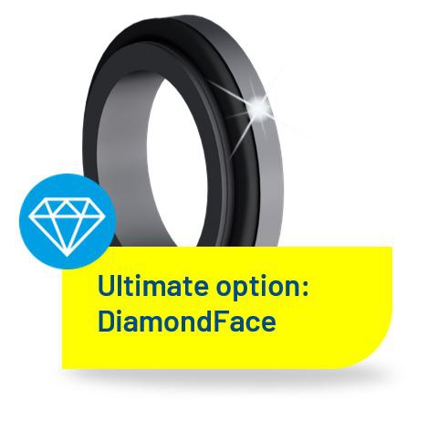 Ultimate option: DiamondFace sliding surface technology